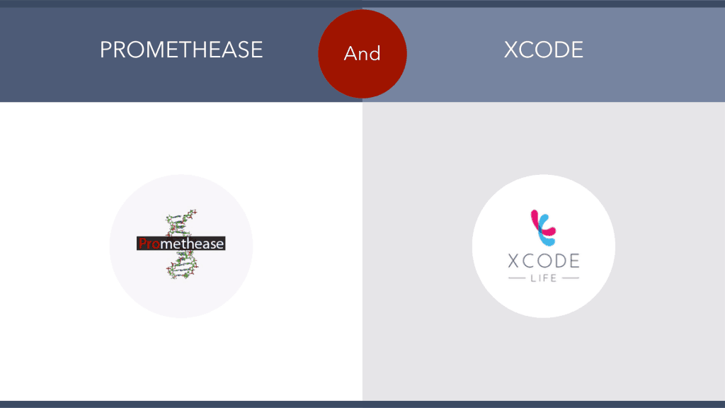 Promethease Reviews 16 Facts On The Promethease Raw DNA Data Analysis