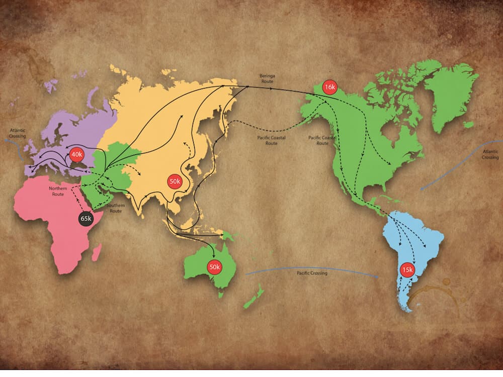Genetic Testing for haplogroup analysis