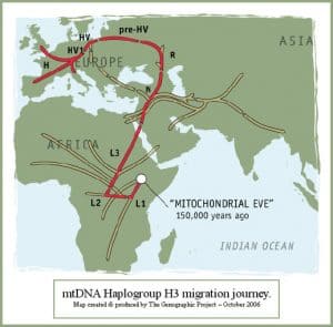 Migration of haplogroup H