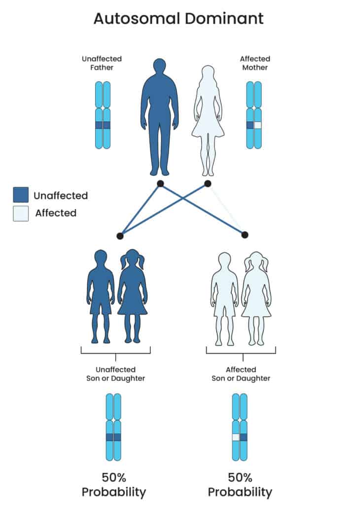 Inheritance pattern