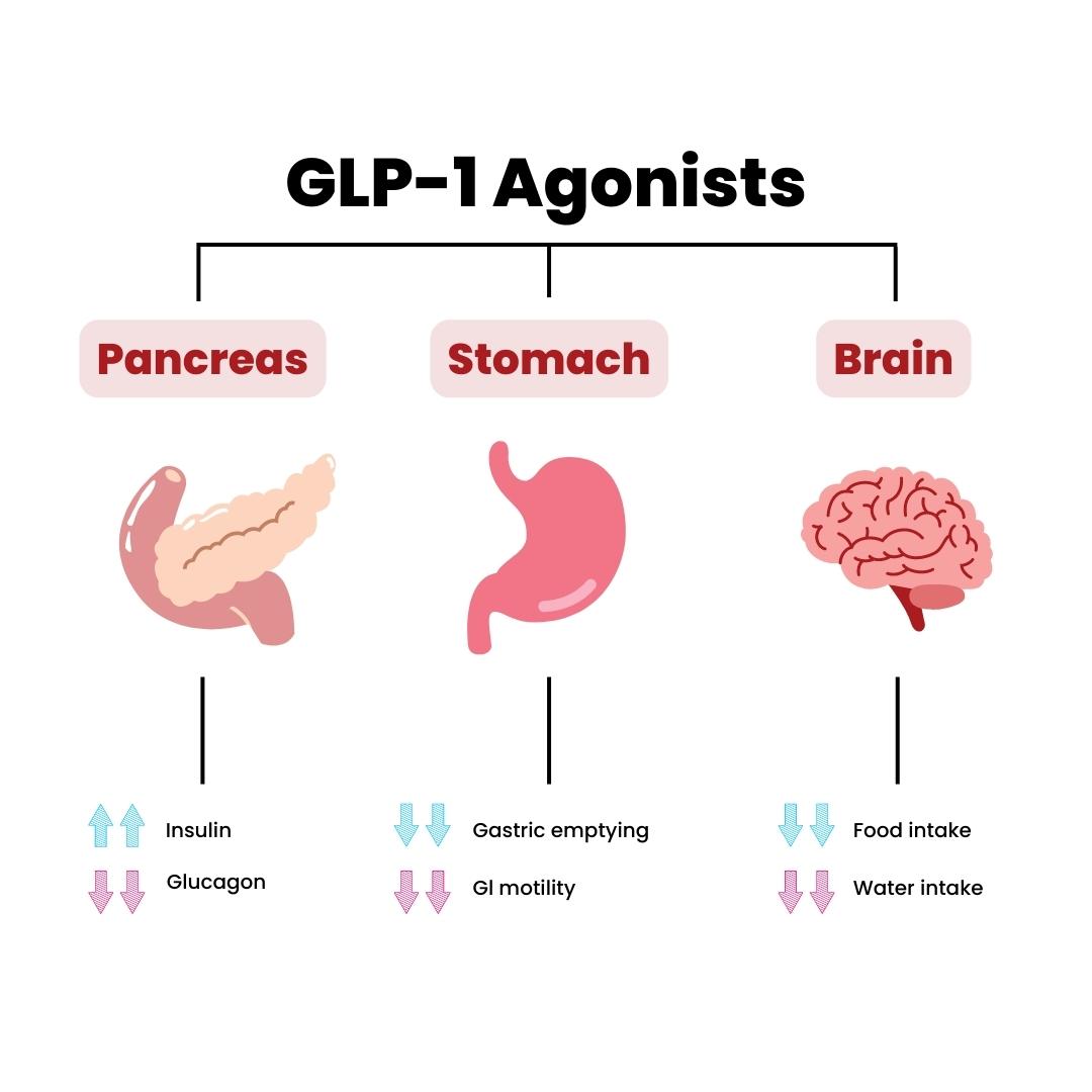retatrutide triple agonist glp-1 gip glucagon receptors Retatrutide vs. Tirzepatide: The Next-Gen GLP-1 Showdown