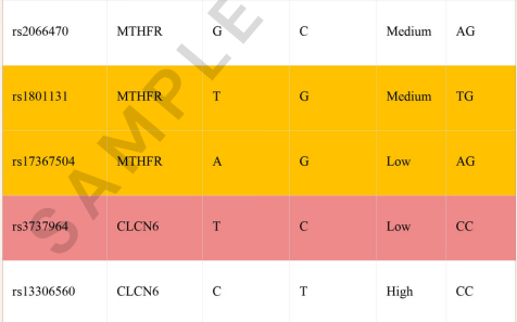 Snippet of MTHFR and methylation test report with 23andme DNA data