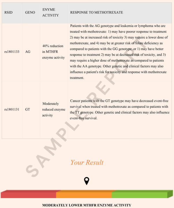 Snippet of MTHFR and methylation test report with 23andme DNA data