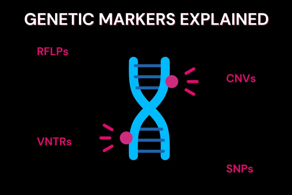 Genetic markers explained- SNPs, RFLPs, CNVs, VNTRs and more!