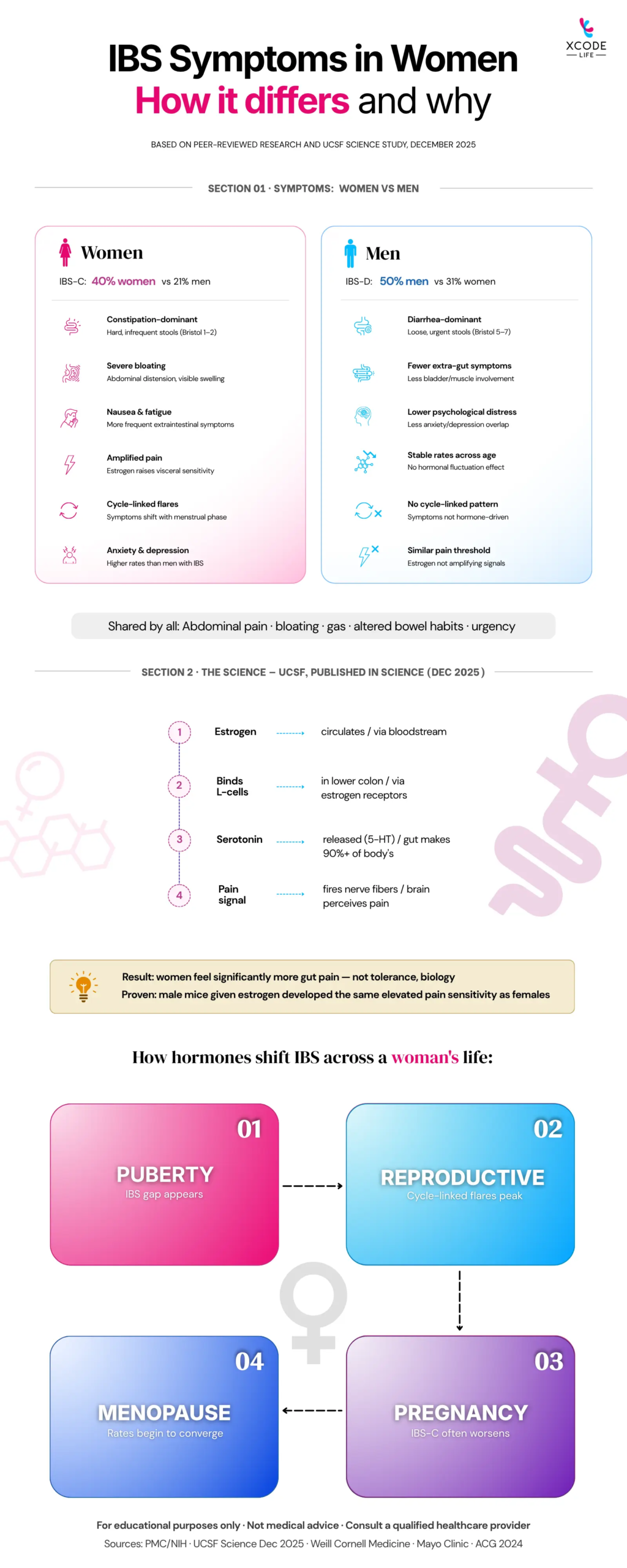 Infographic explaining how IBS symptoms differ between women and men and the role of hormones. It shows that women more often experience constipation-dominant IBS, bloating, nausea, fatigue, heightened pain sensitivity, cycle-related symptom flares, and higher rates of anxiety and depression, while men more commonly have diarrhea-dominant IBS, fewer extra-gut symptoms, and more stable patterns. A science section illustrates how estrogen influences gut signaling, serotonin release, and pain perception. A lifecycle section shows how IBS symptoms change across puberty, reproductive years, pregnancy, and menopause. Xcode Life branding and educational disclaimer appear at the bottom.
